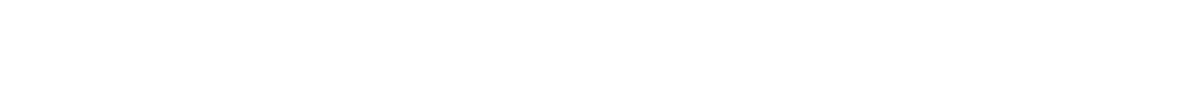 border-pms-web-v2-1